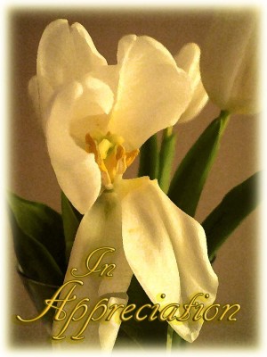 flower.jpg