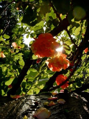 2011-08-21 at 10-00-09.jpg