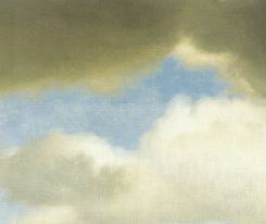 Vermeer detail.jpeg