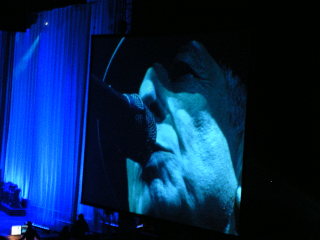 2008_1123rosiet0115.JPG