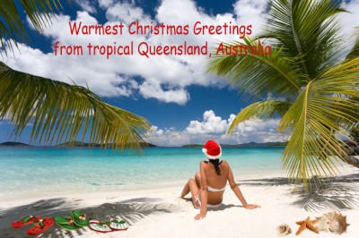 tropical christmas greetings.jpg