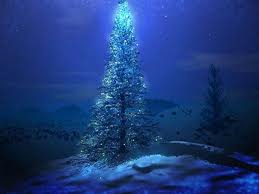 christmas tree.jpg