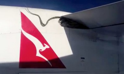 Snake on Qantas plane 11th Jan 2013
