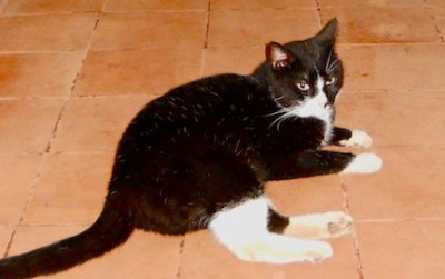 DSCN0501.JPG