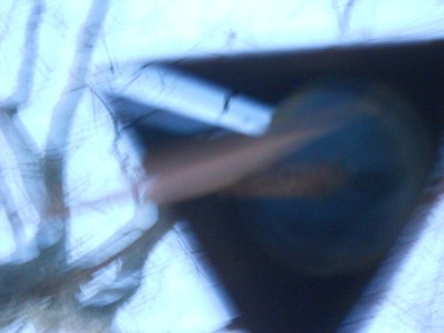 DSCN1310.JPG