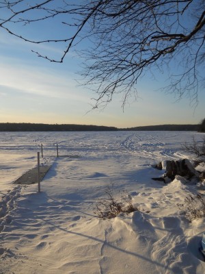 DSCN1195.JPG