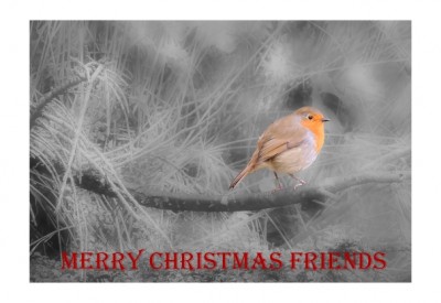 Christmas Card.jpg