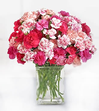 Petals.jpg