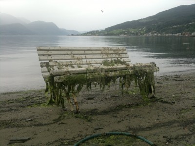 michael's bench.jpg