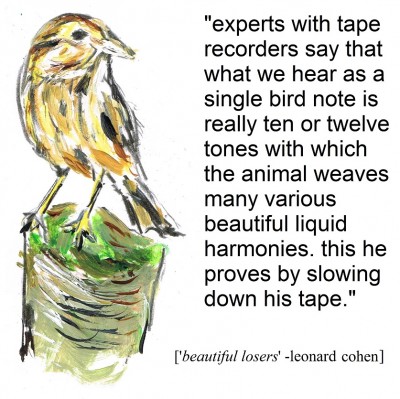 bird.jpg