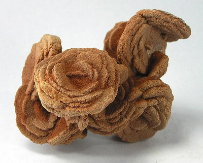 desert rose.jpg