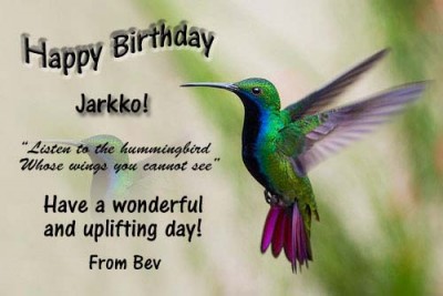 hummingbird-happy-birthday!!.jpg