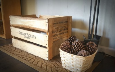 Maple Brand Box.jpg