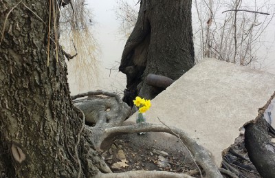 web-flowers.jpg