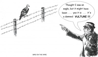 bird on the wire.jpg