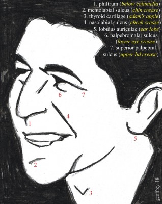 facial landscape.jpg