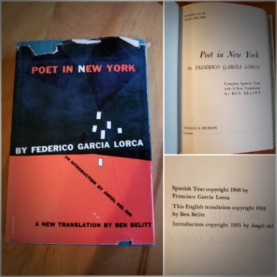 Poet in NY.jpg