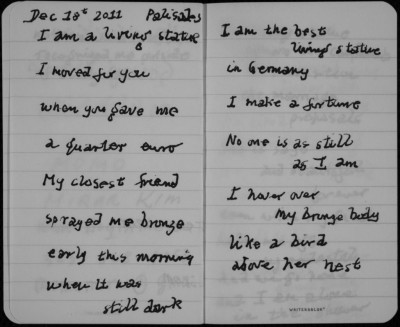 Cohen 2011 notebook.jpg