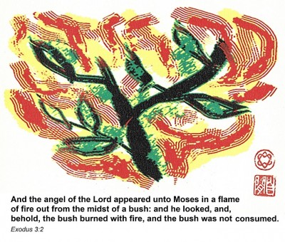 burning bush.jpg