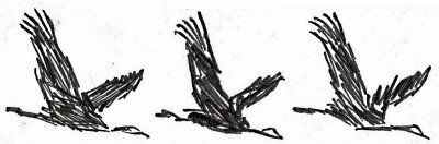 storks.jpg