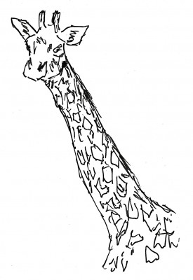 giraffe.jpg
