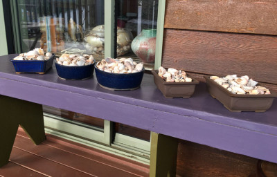 IMG_0130-bonsai-pots-with-shells.jpg