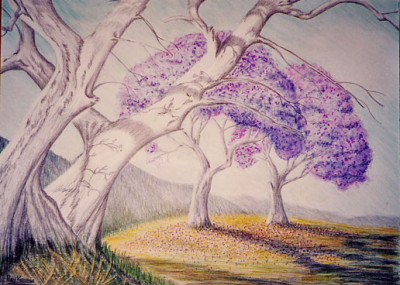Trees-drawn with aquarell pencils (commissioned by Staedtler).jpg