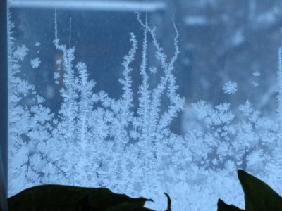 Frost on Window.JPG
