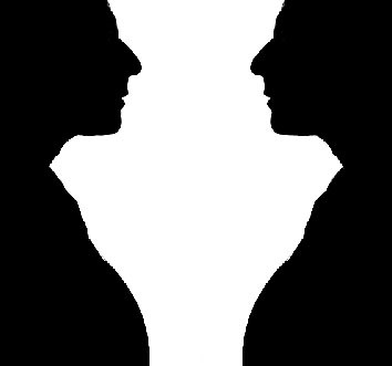 there's a fight between the black and white.jpg