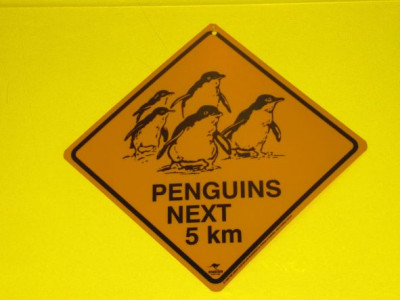Phillip Island Road Sign.JPG