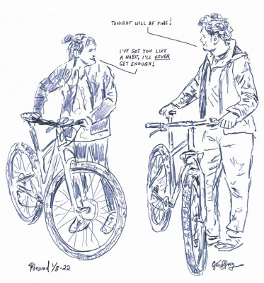 a woman without a man is like a fish without a bicycle.jpg