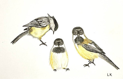 Lisa LCFan Chickadee Friends.jpg