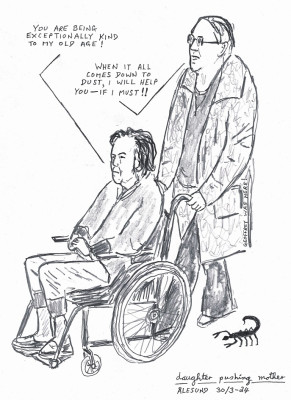 254.jpg