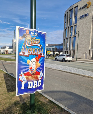 254.jpg