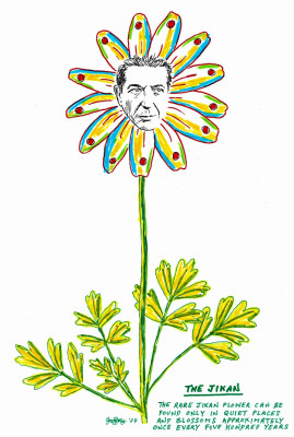255.jpg