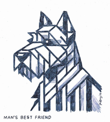 255.jpg