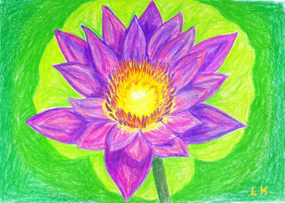 Lisa LCFan Water Lily Drawing.jpg