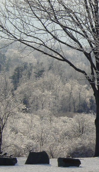DSC00044.1.jpg