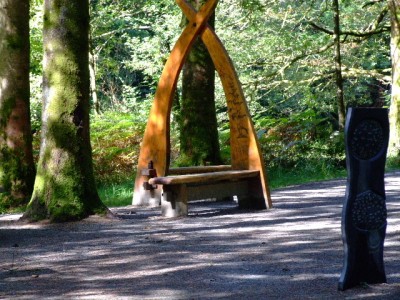 The Loving Seat ?  Coed y Brenin Forest Park