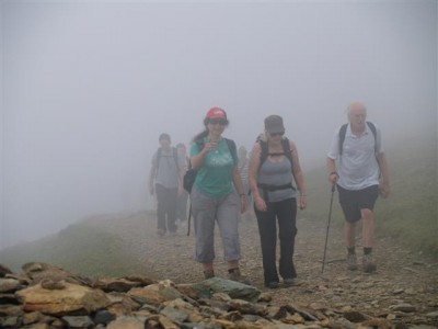 into the mist