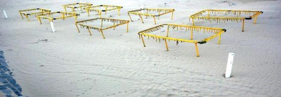 bar7.jpg