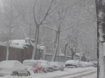 Pine Street.jpg