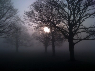 CroxtethPark.JPG