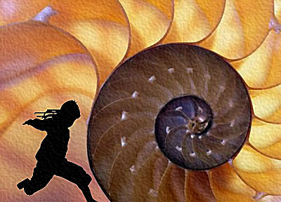 fractal%20seashell.jpg