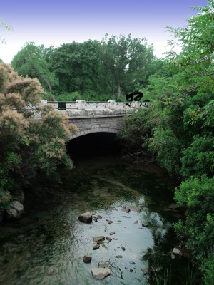 river.jpg