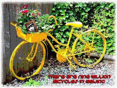 bike.jpg