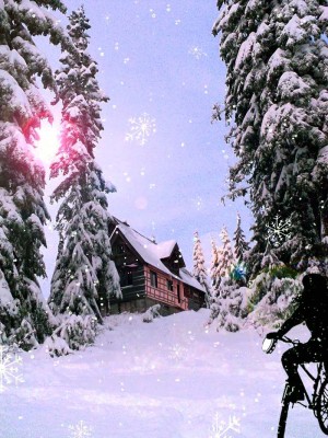 snow 212.jpg