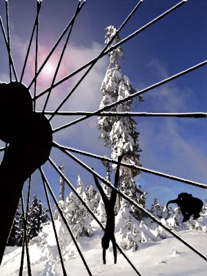 wheel.jpg